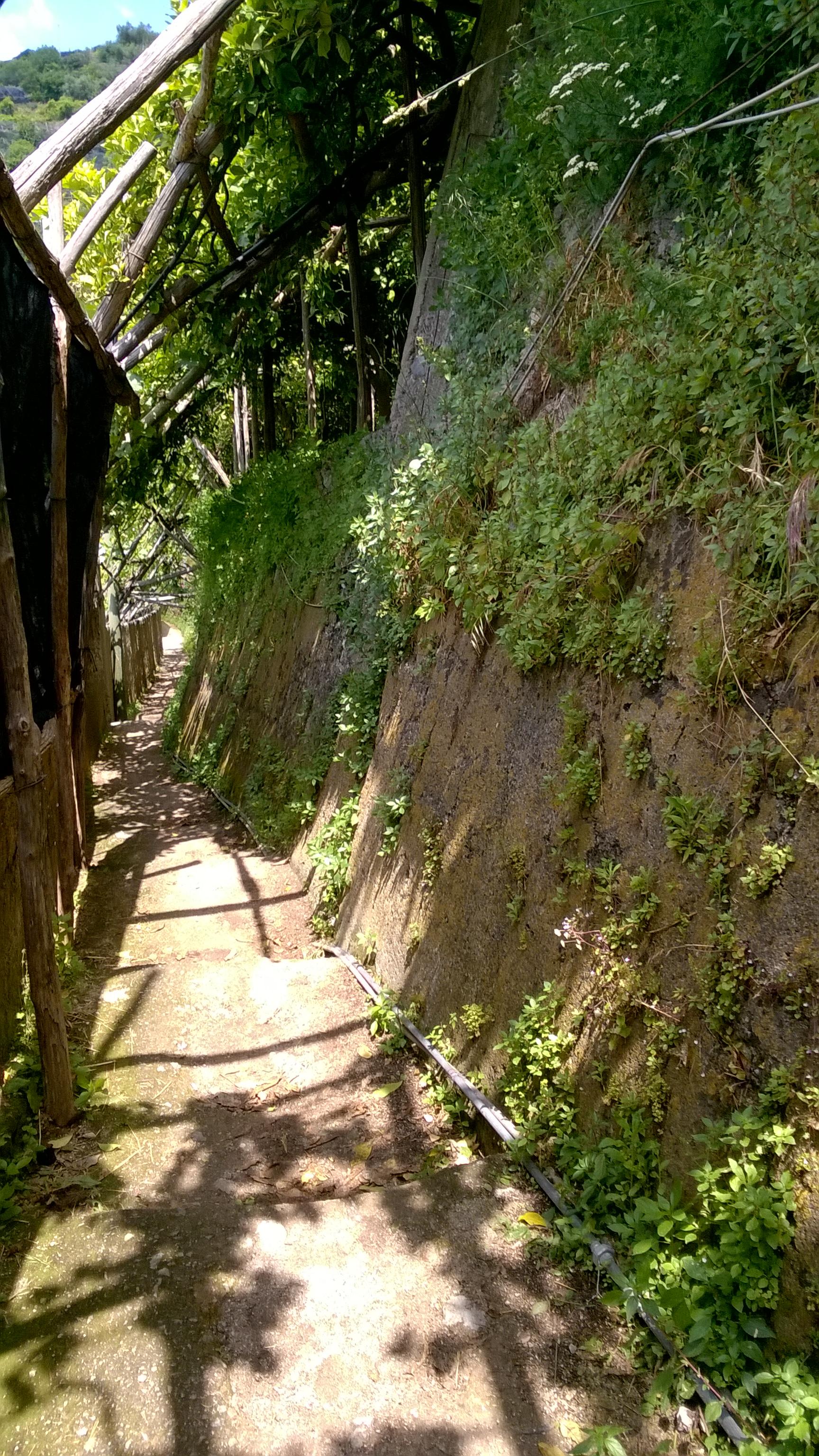 Sentiero dei Limoni