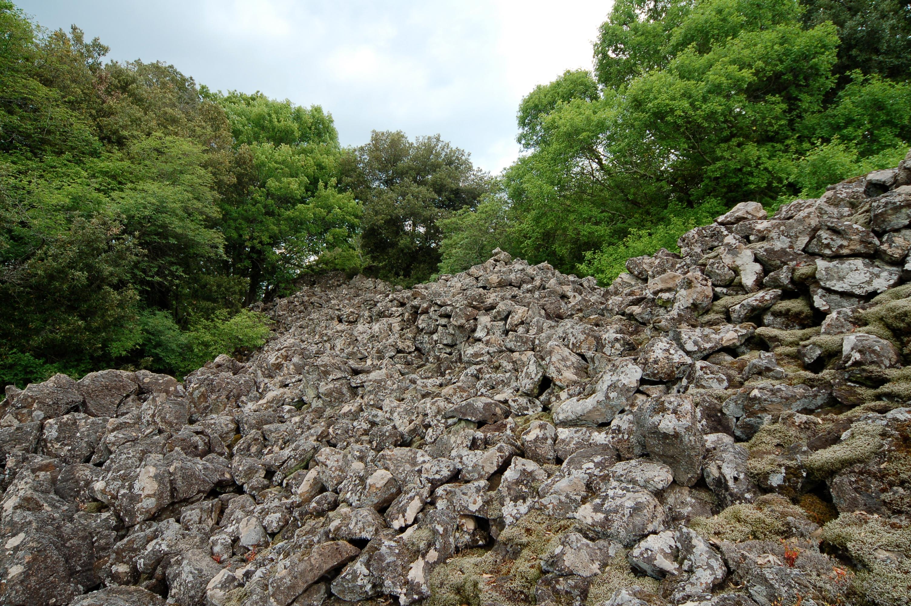 Riserva Naturale Regionale Selva del Lamone