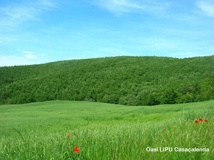 Oasi LIPU Casacalenda