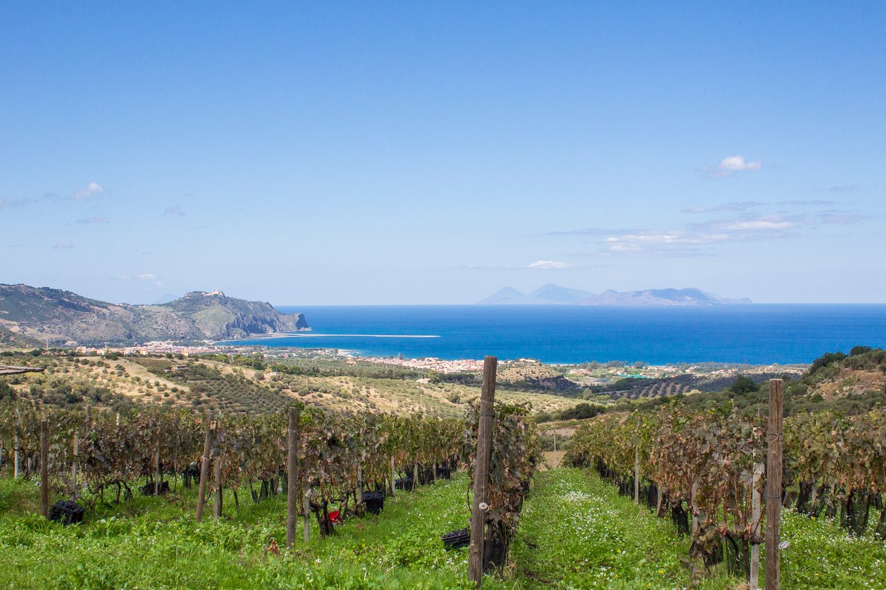 Azienda Agricola Cambria