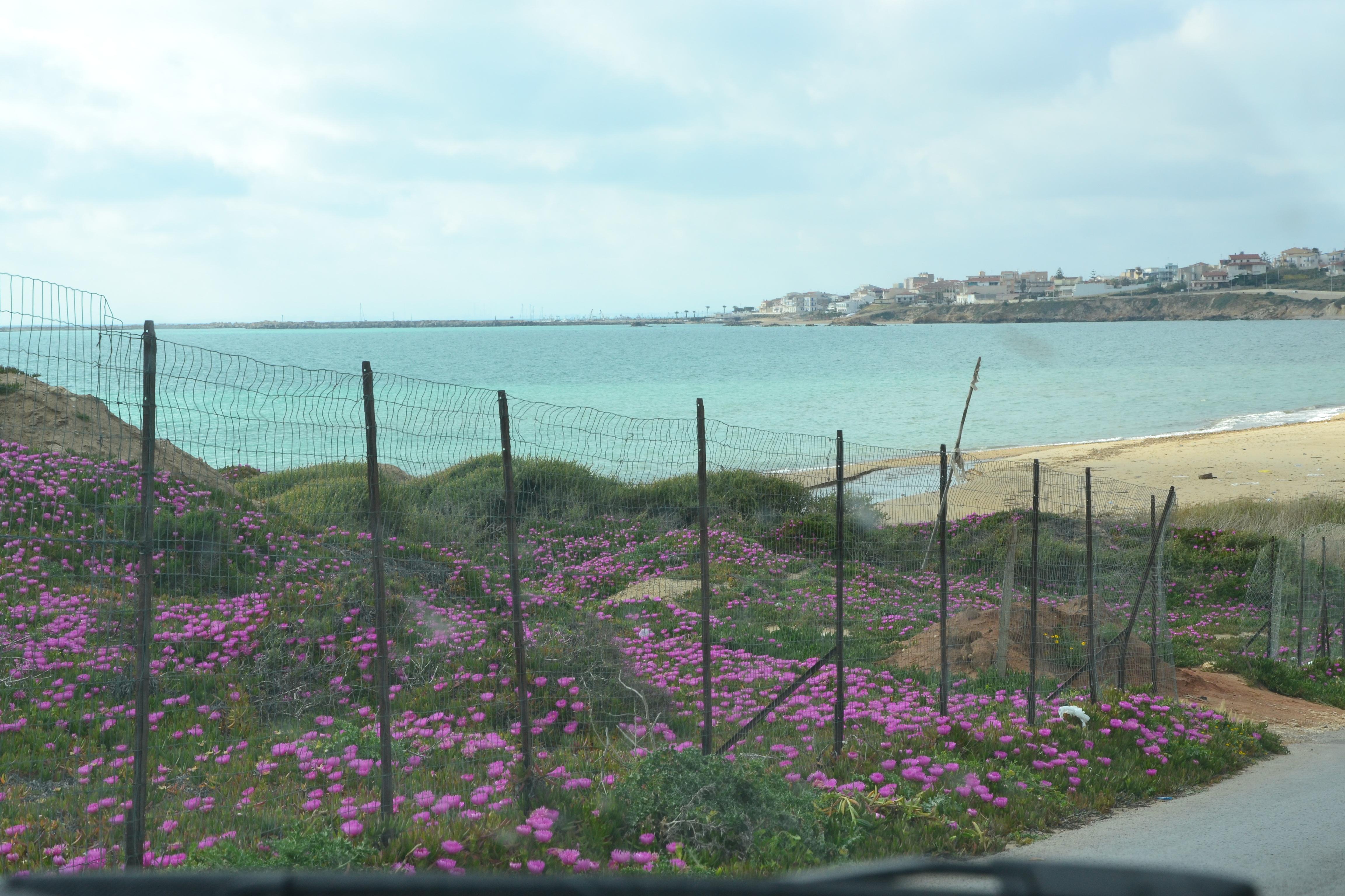 Scoglitti porto