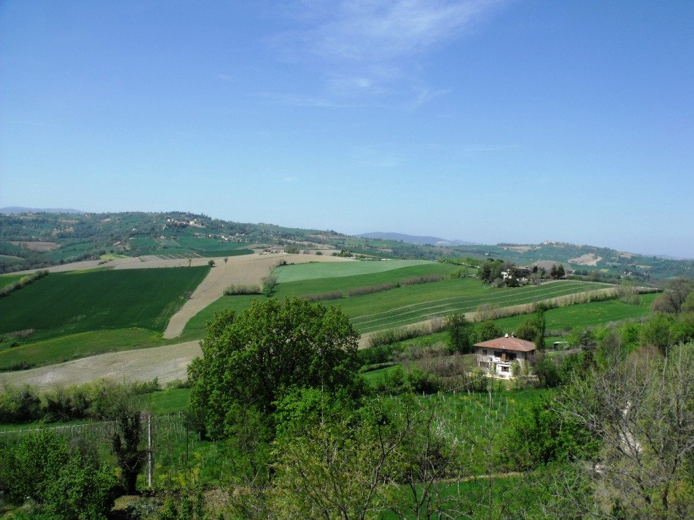 Castello di Sant'Andrea di Suasa