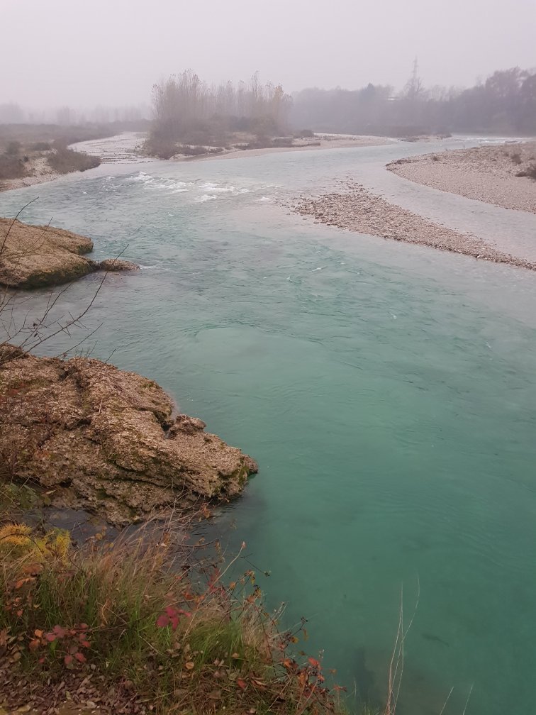 Passeggiata Lungo il Fiume Piave