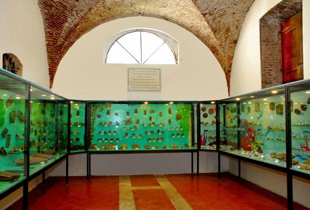 Museo dei Fossili Pierluigi Malinverni