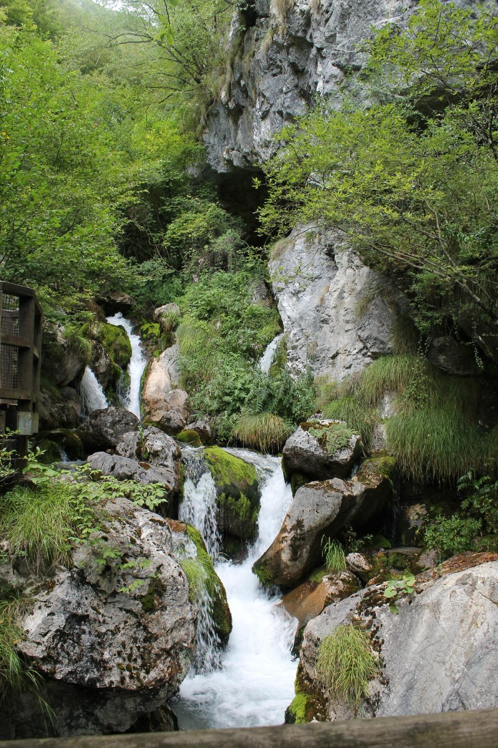 Area Natura Rio Bianco