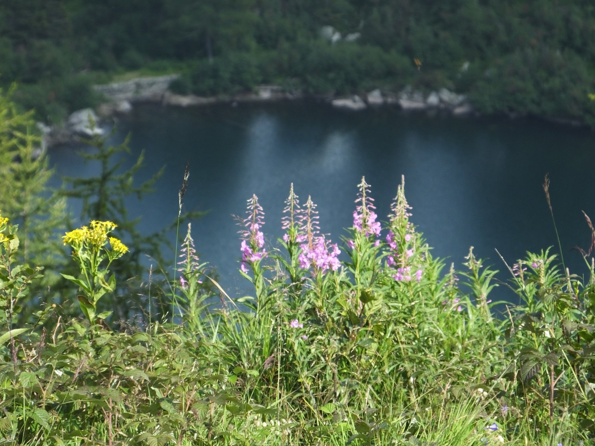 Sentiero Laghi di San Giuliano