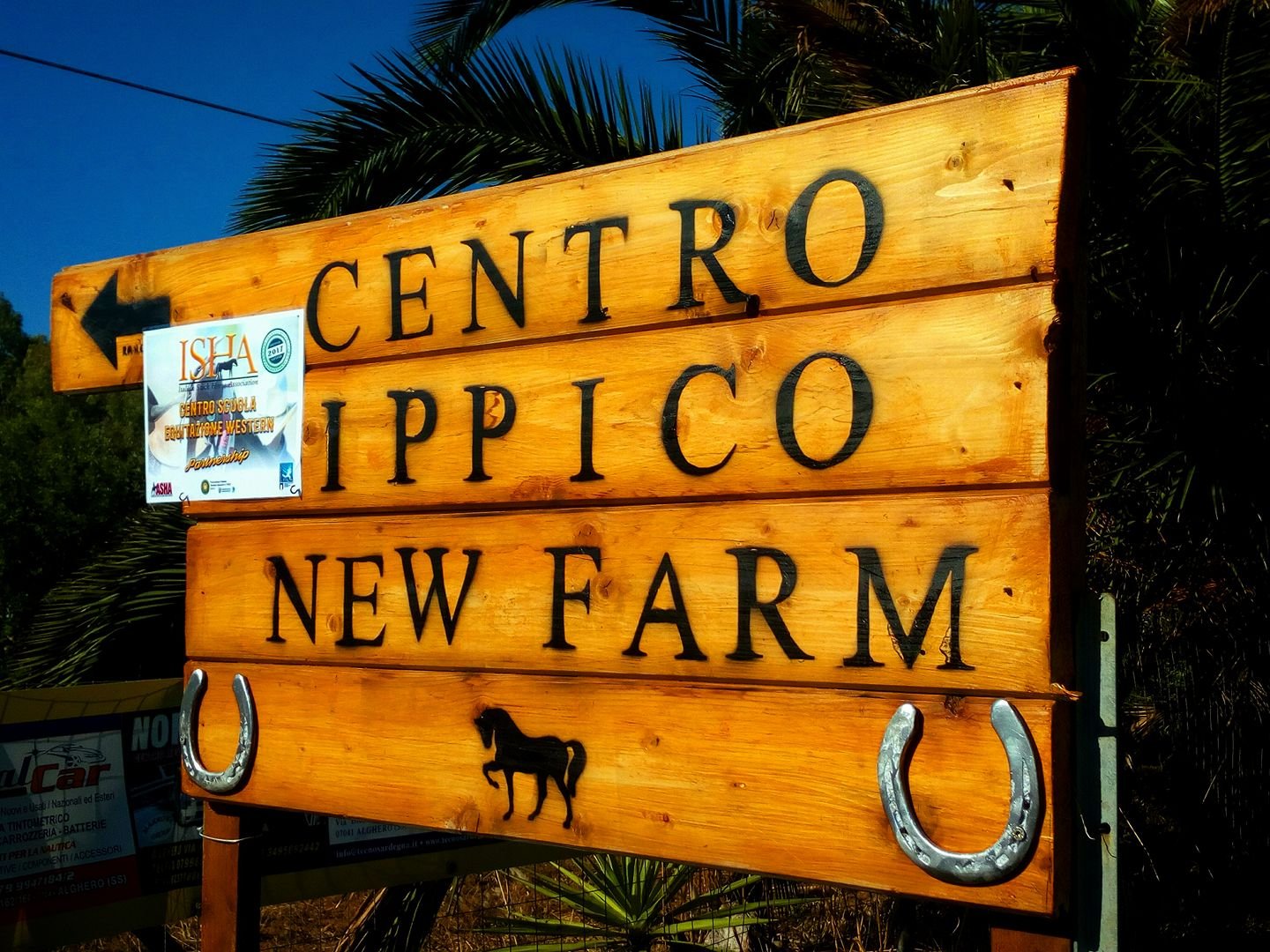 Asd centro ippico new farm