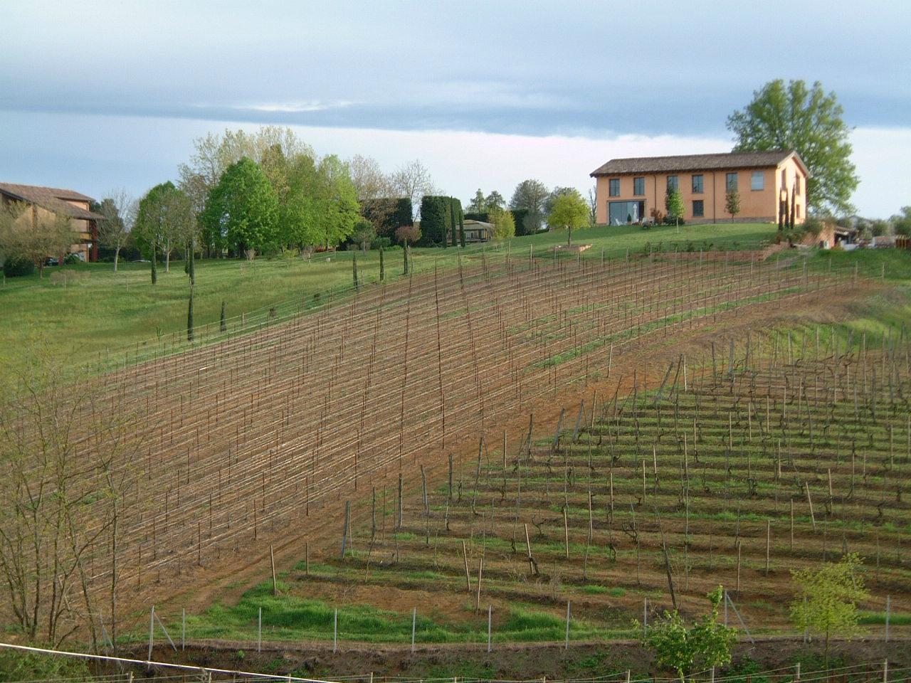 Cantina La Tollara