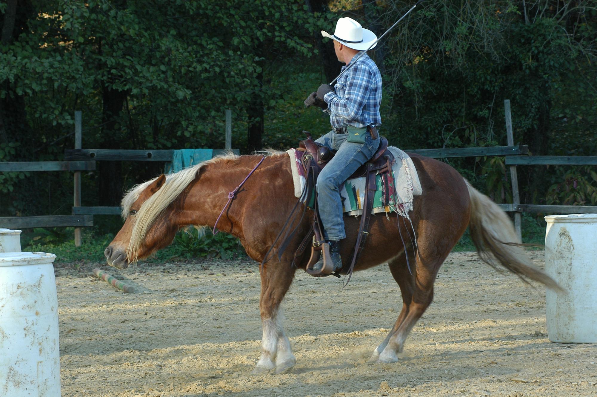 Lischeto Ranch Equitazione Naturale in Toscana