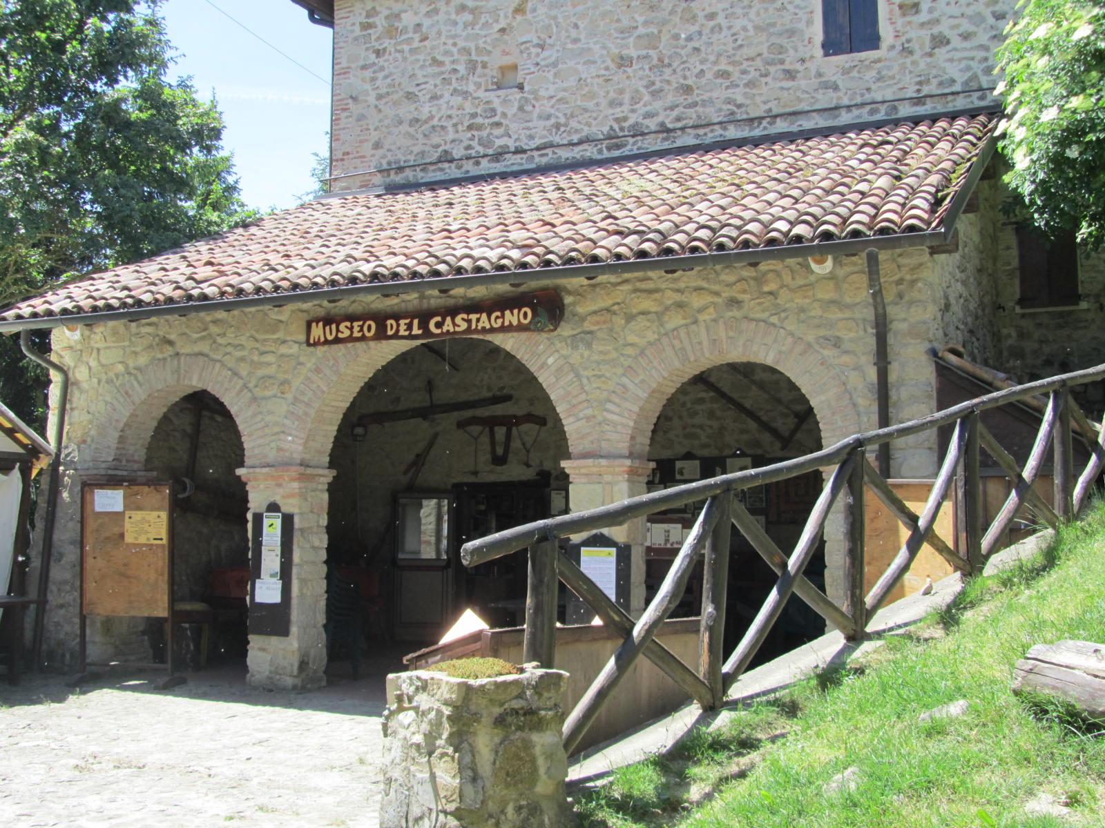 Museo del Castagno