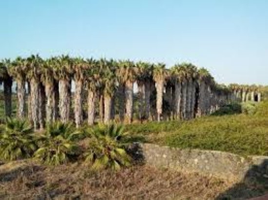 Riserva Naturale Orientata del Fiume Fiumefreddo