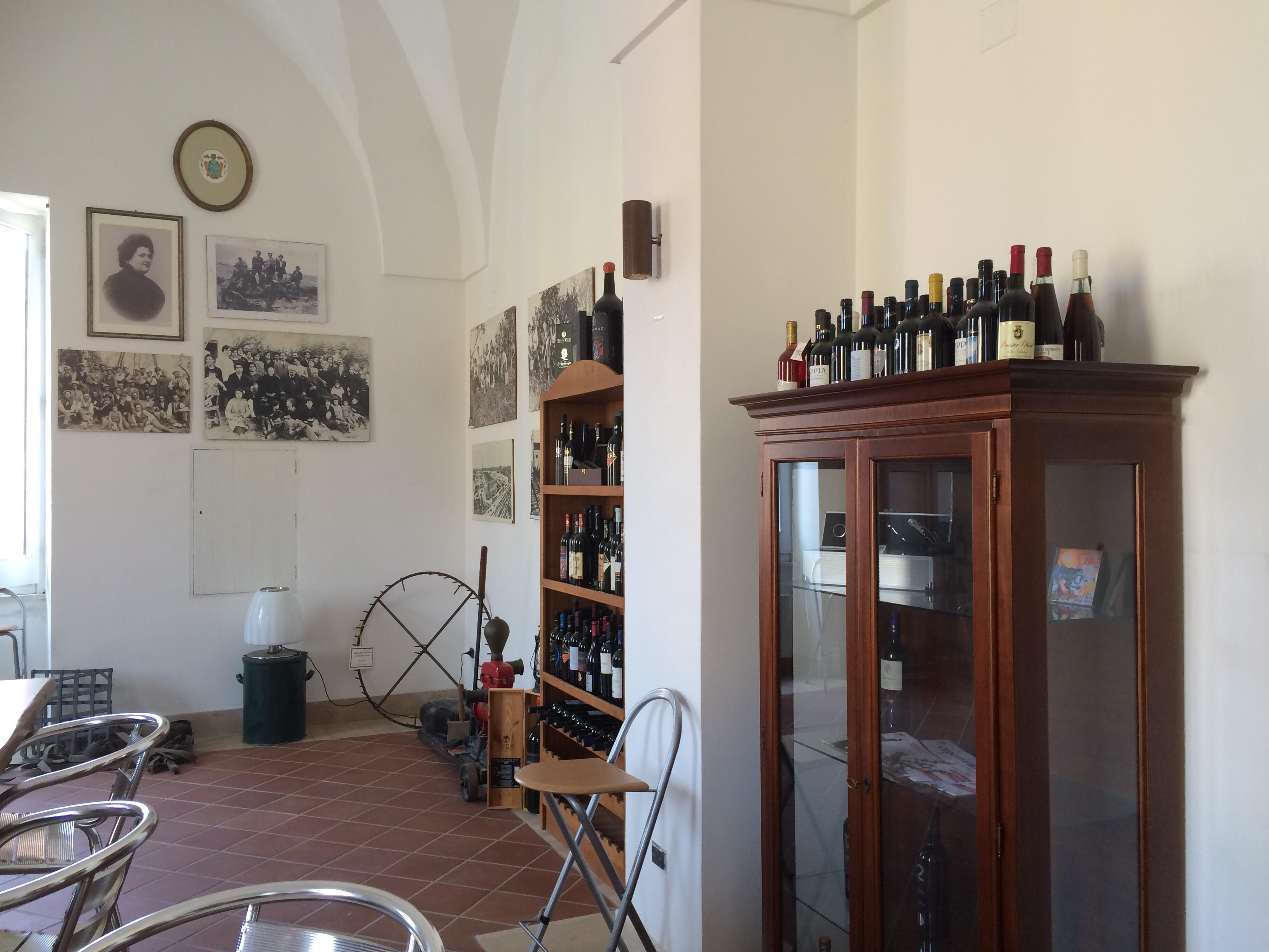 Puglia Wine School