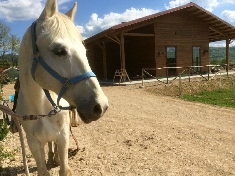 Margarete Horse Ranch