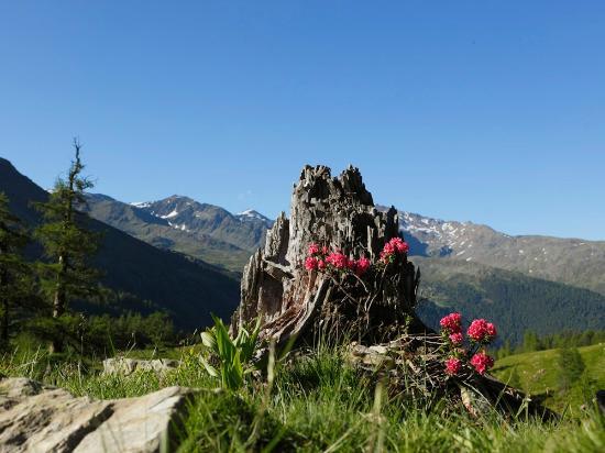 Parco Nazionale dello Stelvio