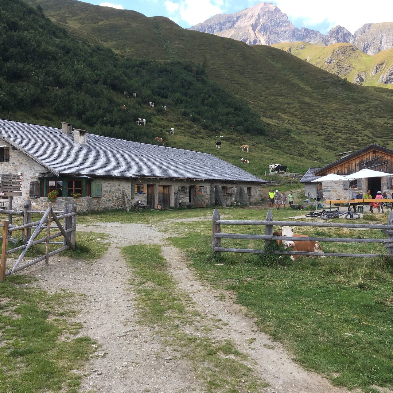 Escursione alla Malga Weitenberg