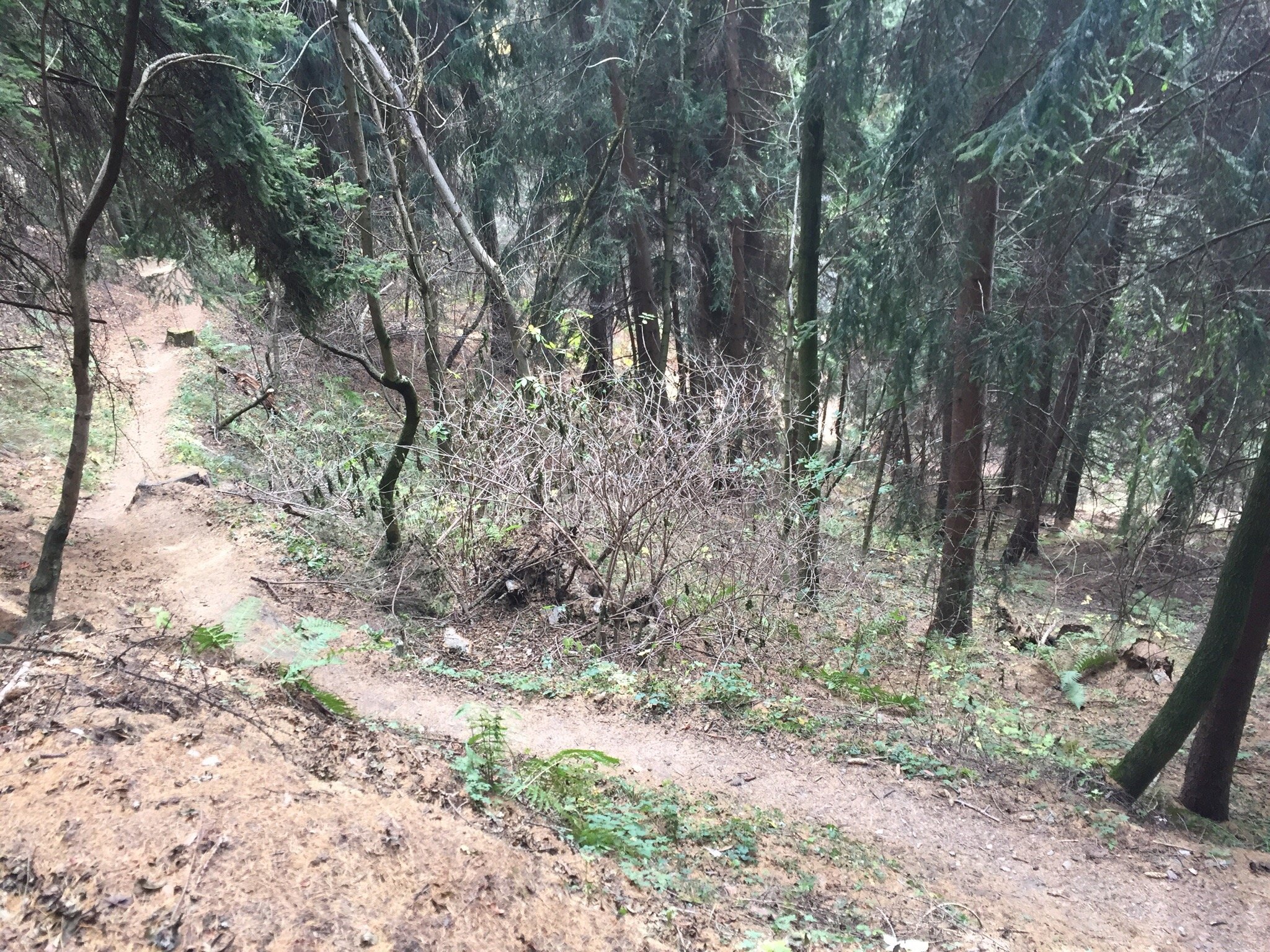 Sentiero Dolomieu da Ladurns a Monte Cavallo