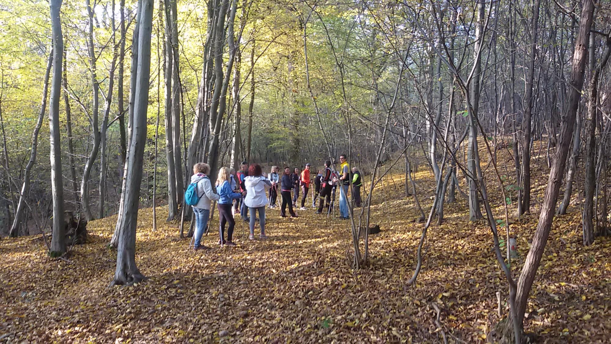 Riserva Naturale Orientata La Vauda