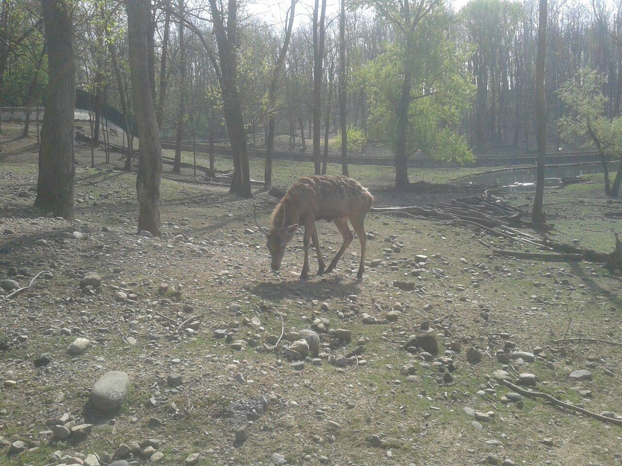 Parco degli Aironi