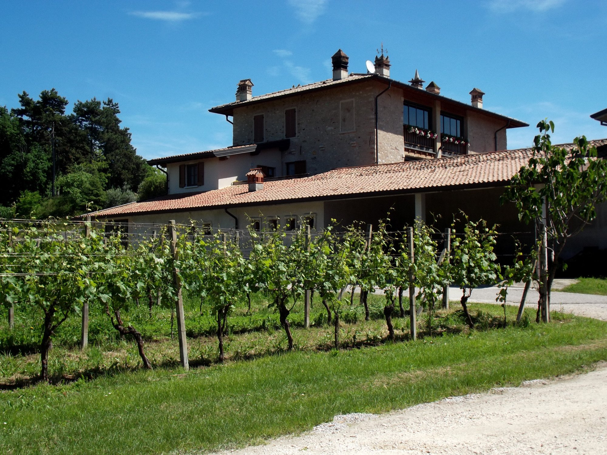 Azienda Agricola Masserino