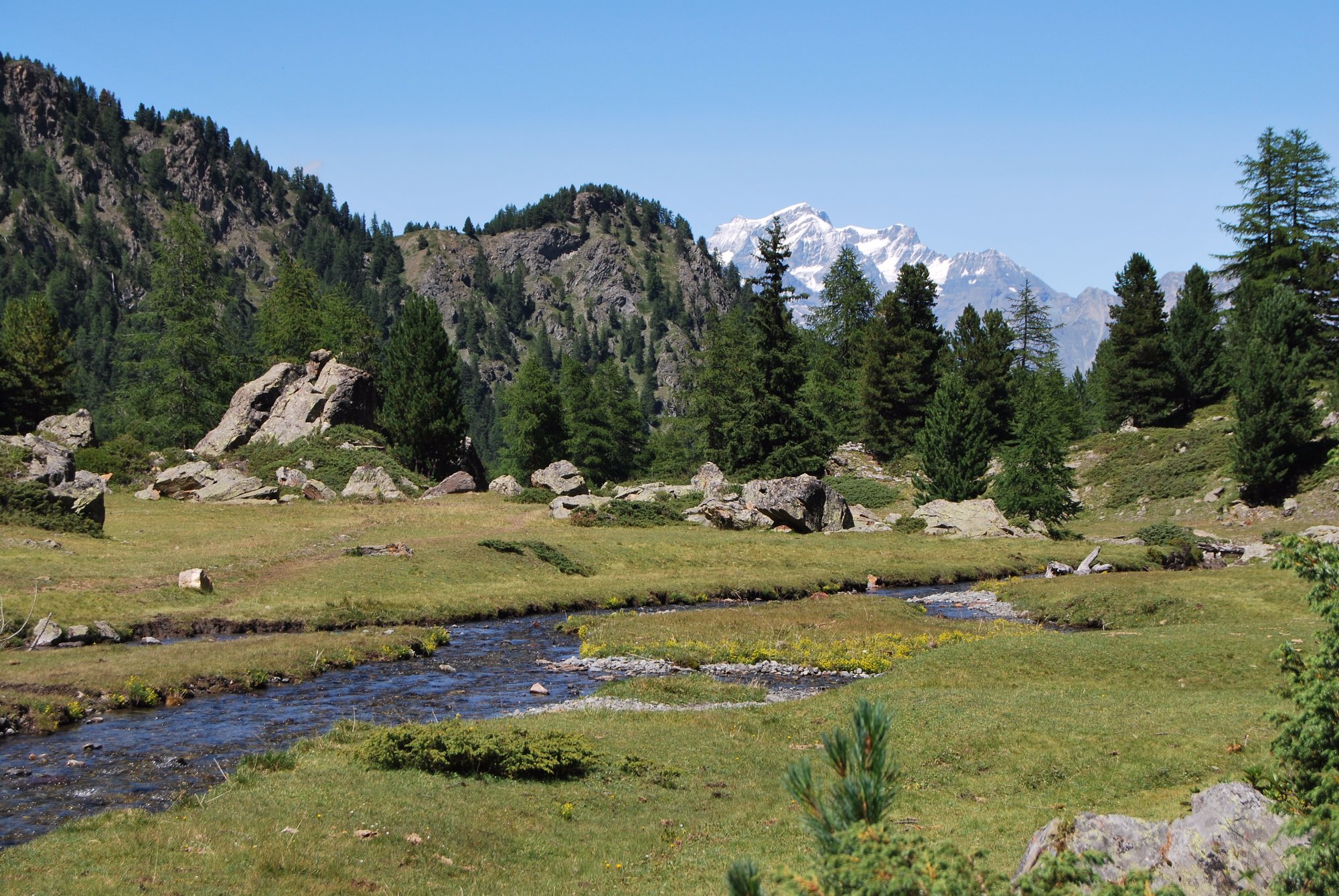 Rifugio Arbolle