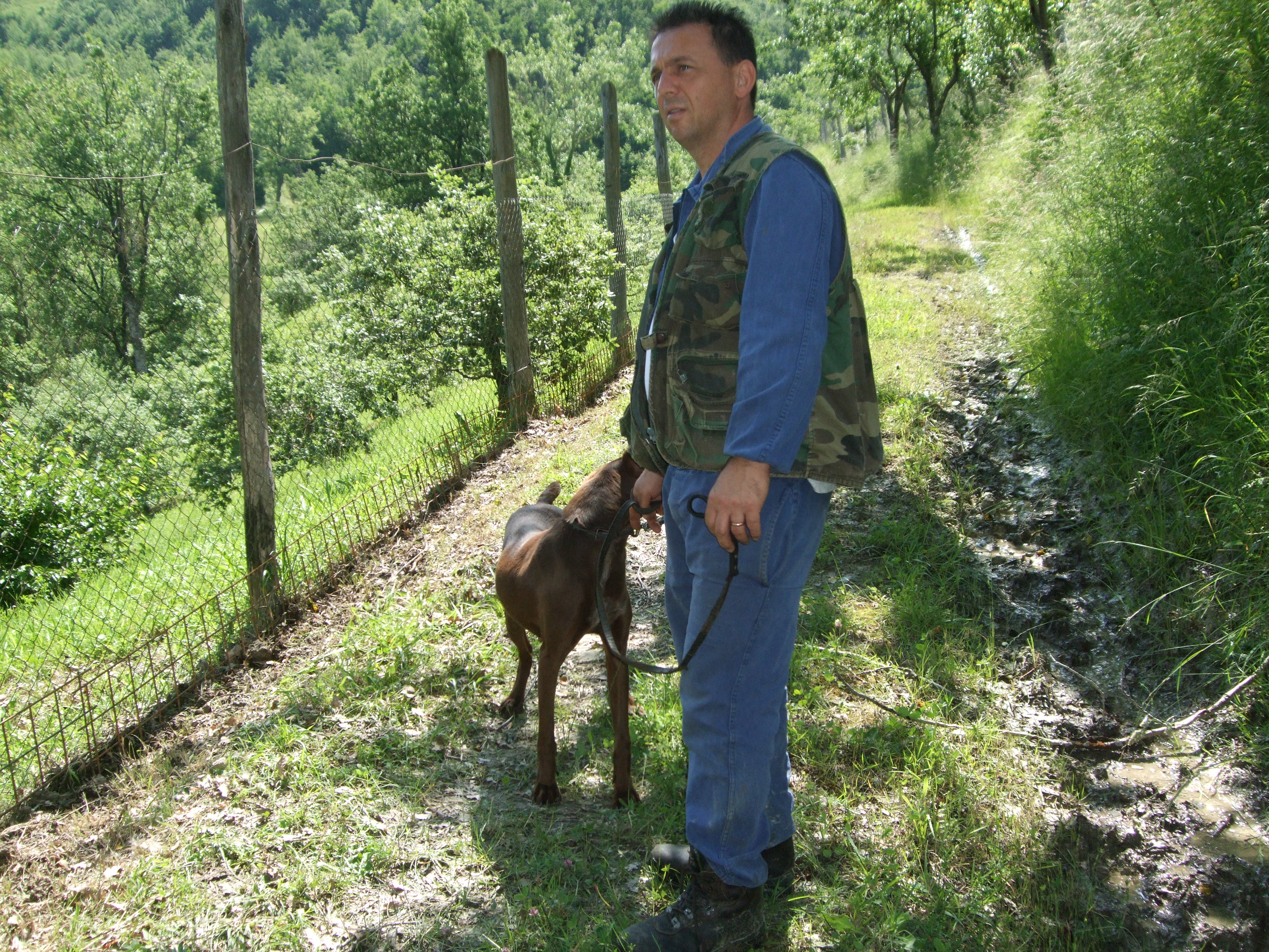 truffles hunting in le Marche