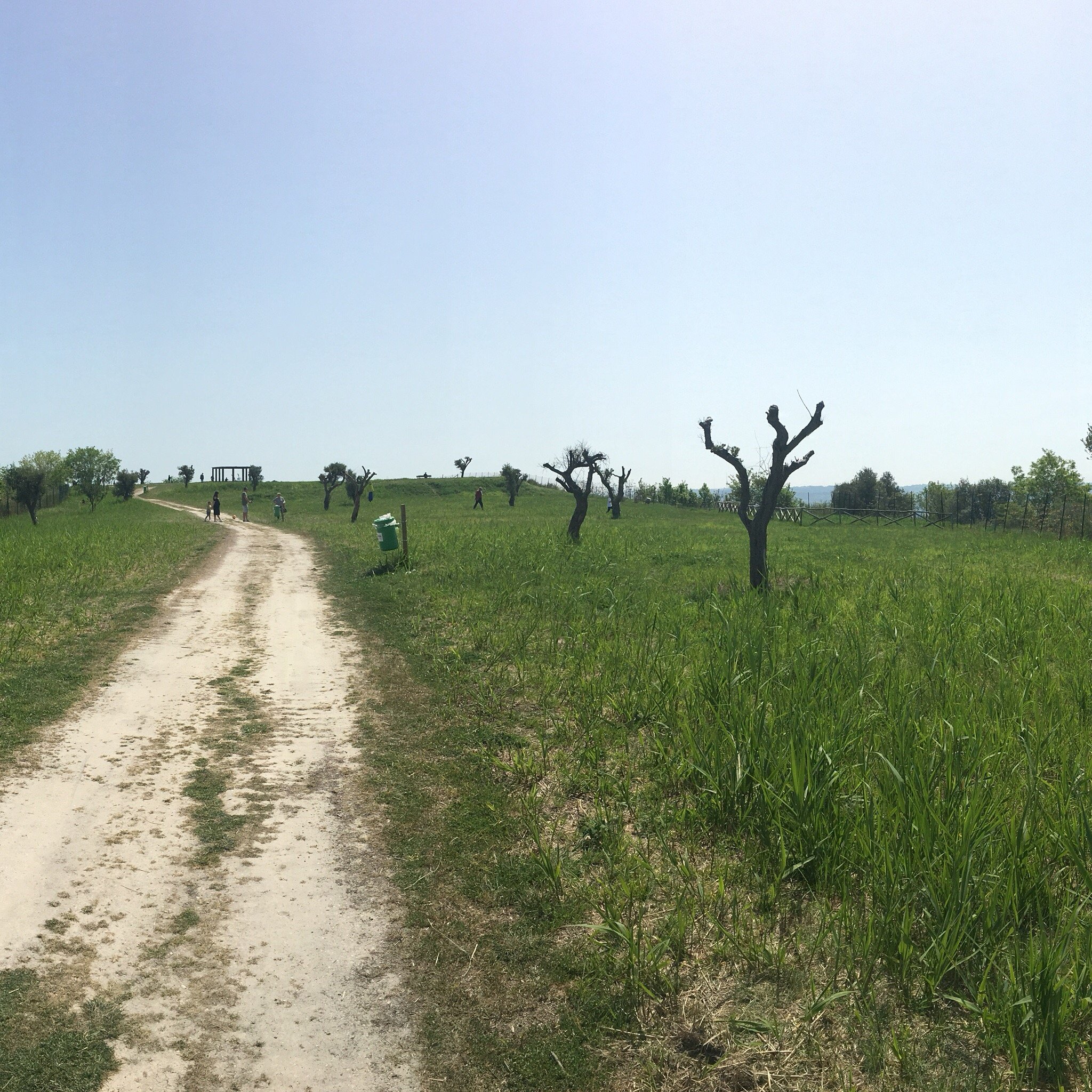 Parco del Colle del Telegrafo