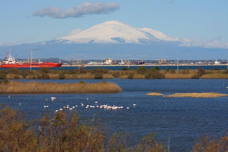 Riserva Naturale Saline di Priolo