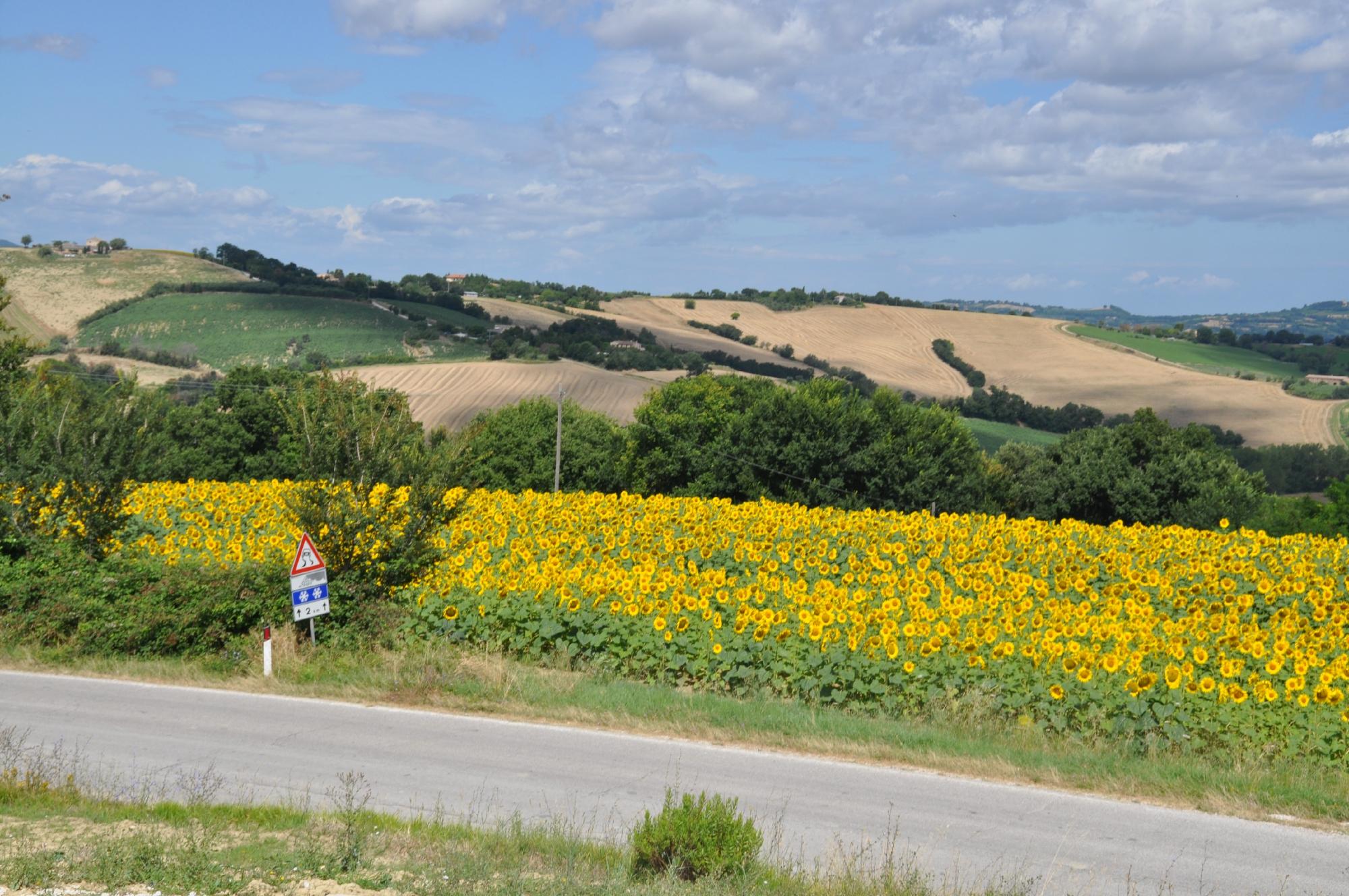 Azienda Agricola Bruscia