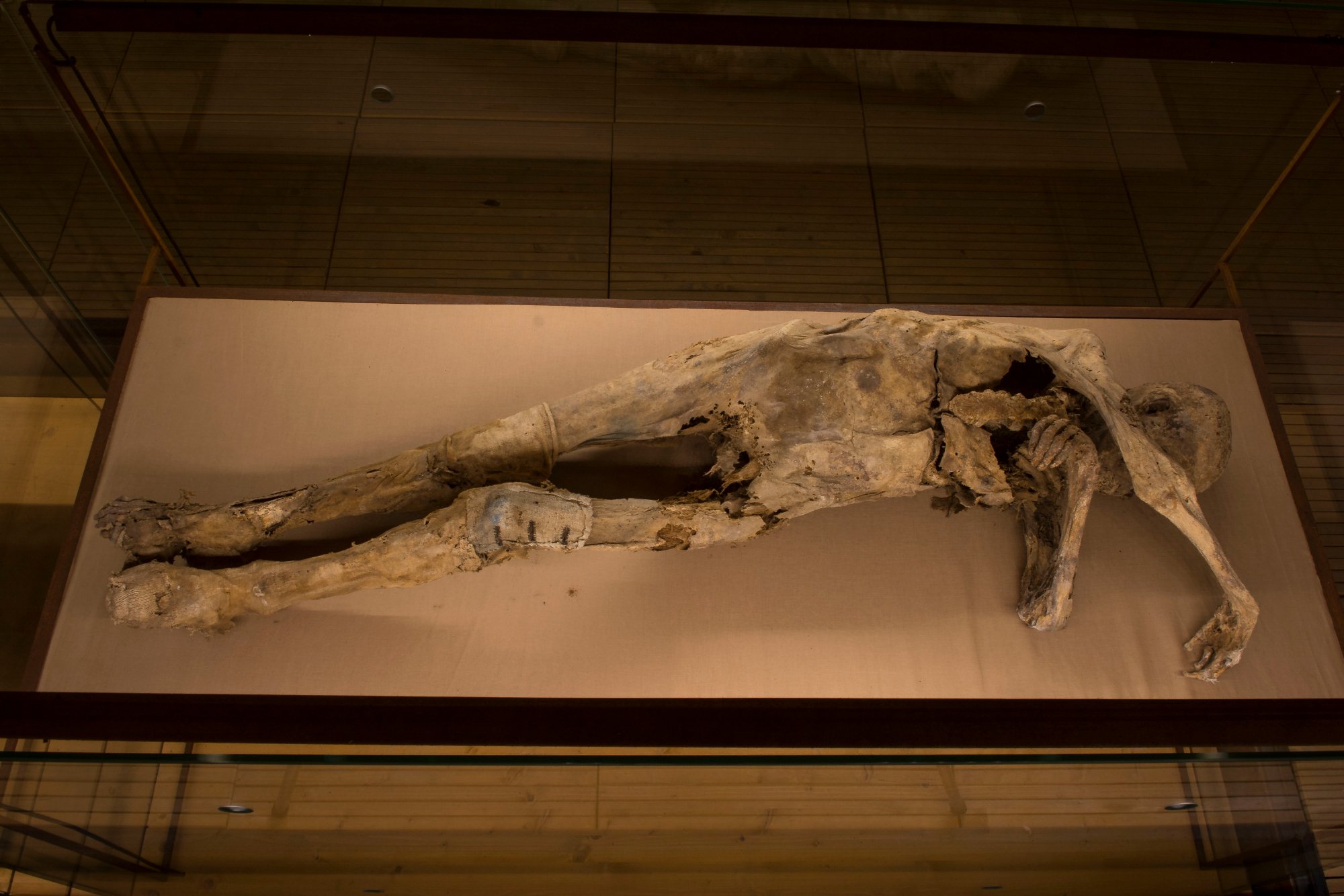 Museo della Cripta - Le Mummie di Monsampolo