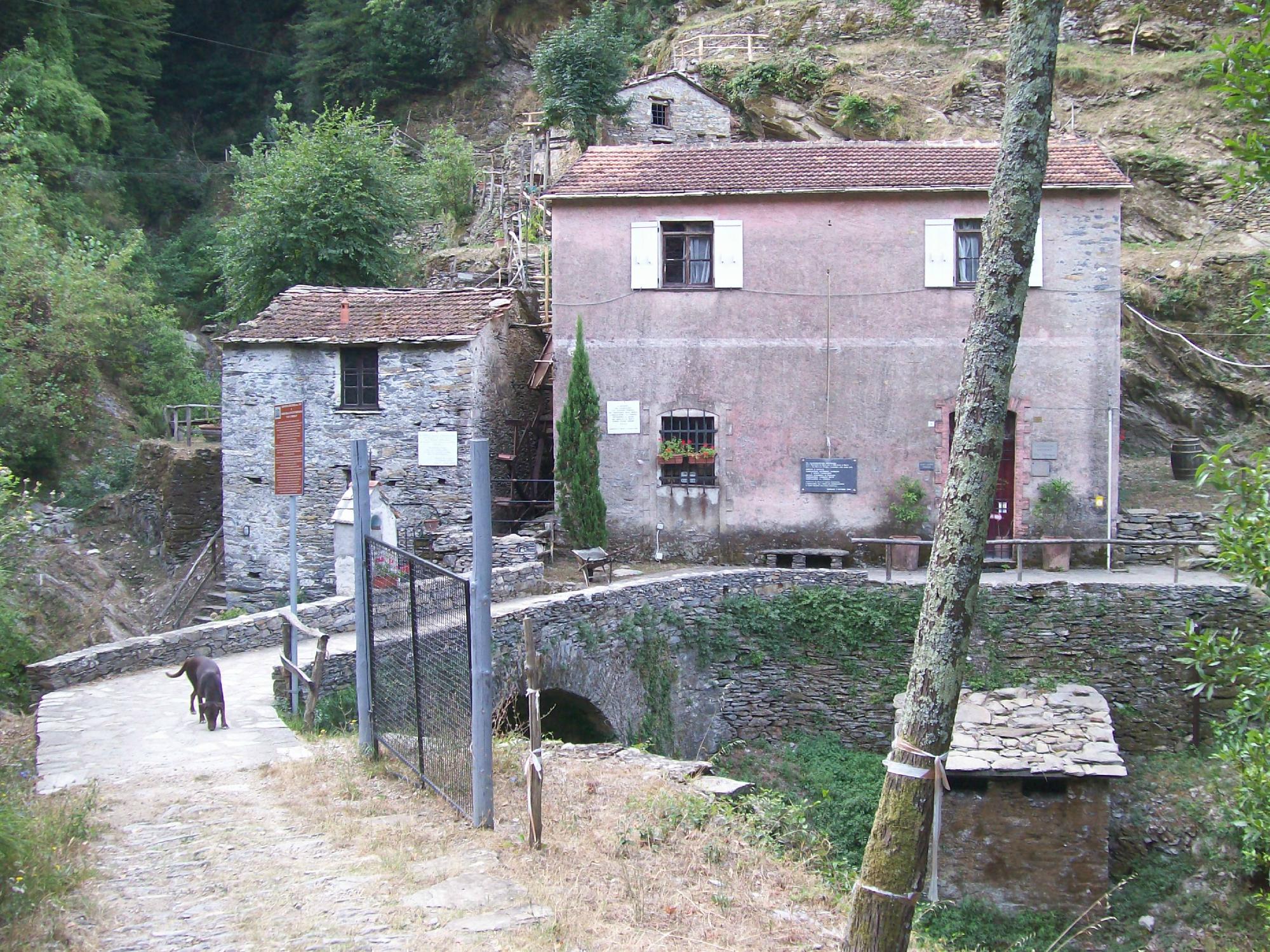 Museo della Civiltà Contadina