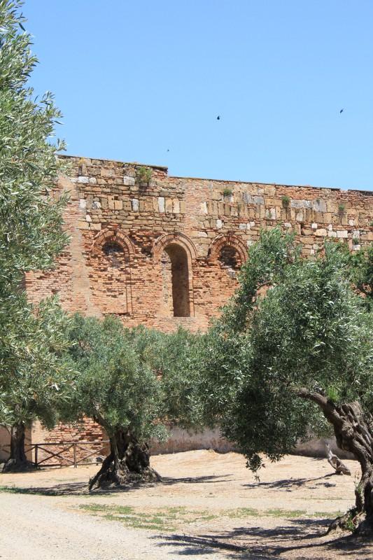 Museo e Parco Archeologico Nazionale di Scolacium