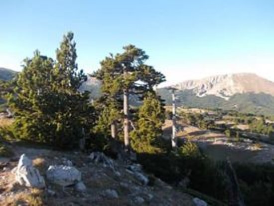 Rifugio Aquila Verde