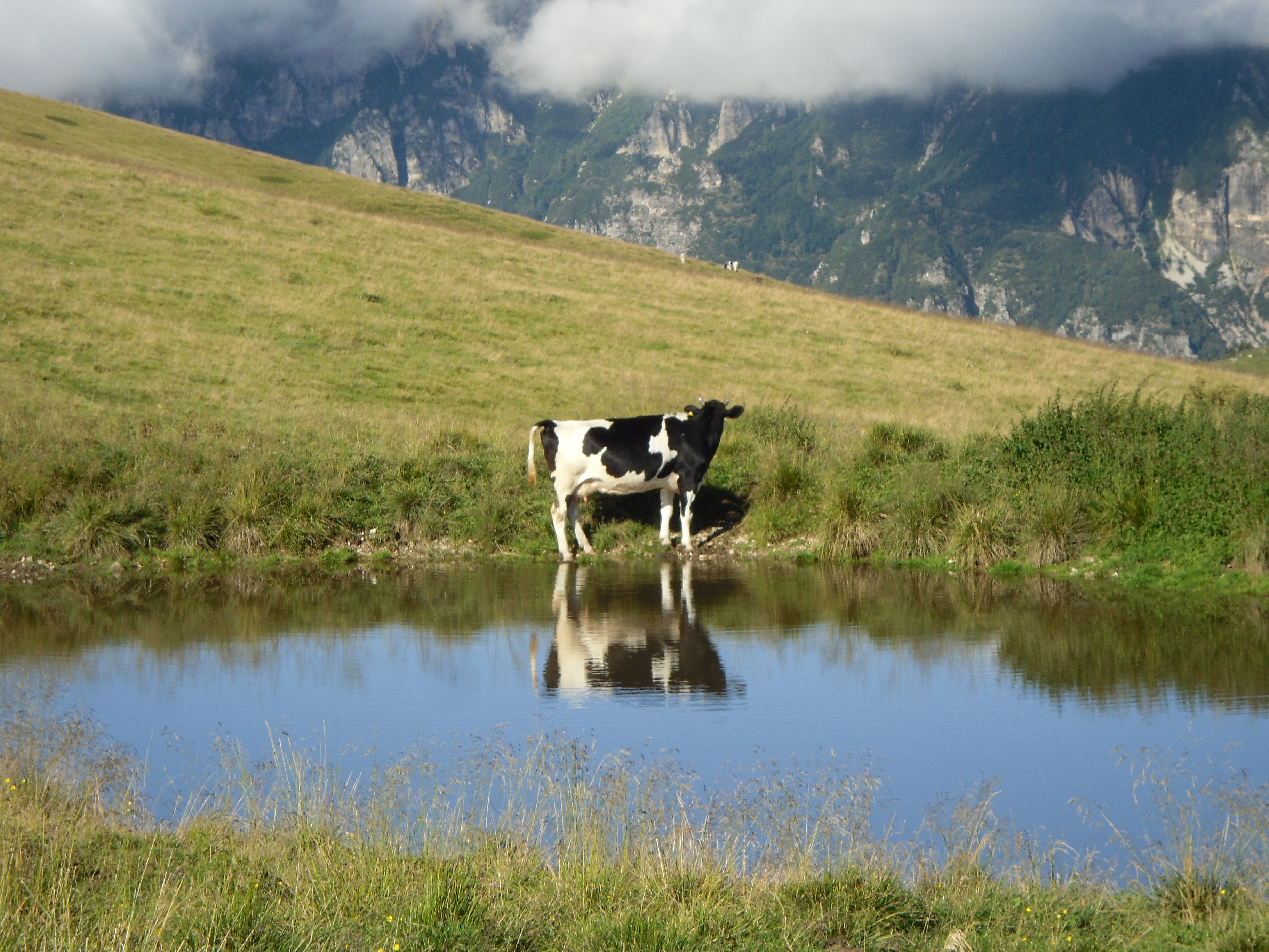 Parco Naturale Regionale della Lessinia