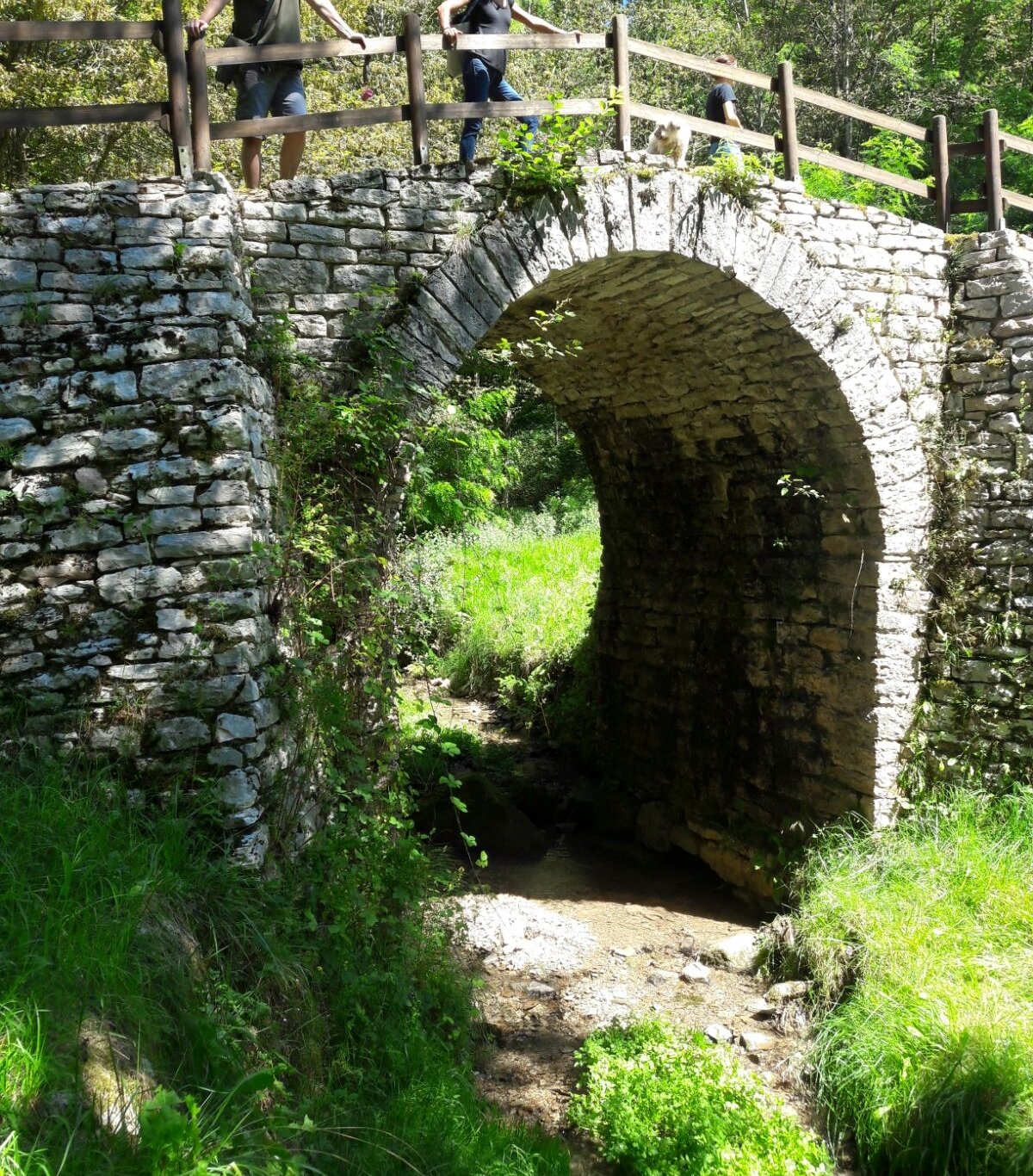 Ponte Romano Lungo la Via Claudia Augusta Altinate