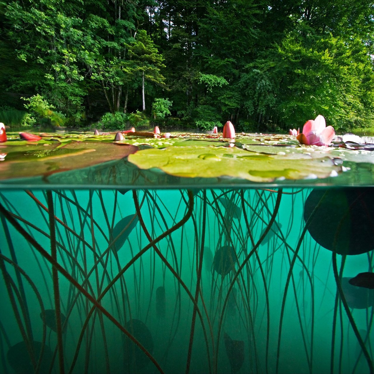 Riserva Naturale Lago di Campotosto