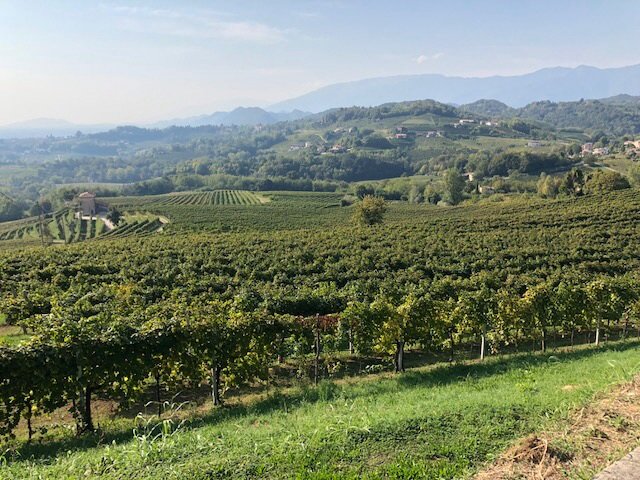 Il Sentiero Naturalistico di San Pietro di Feletto