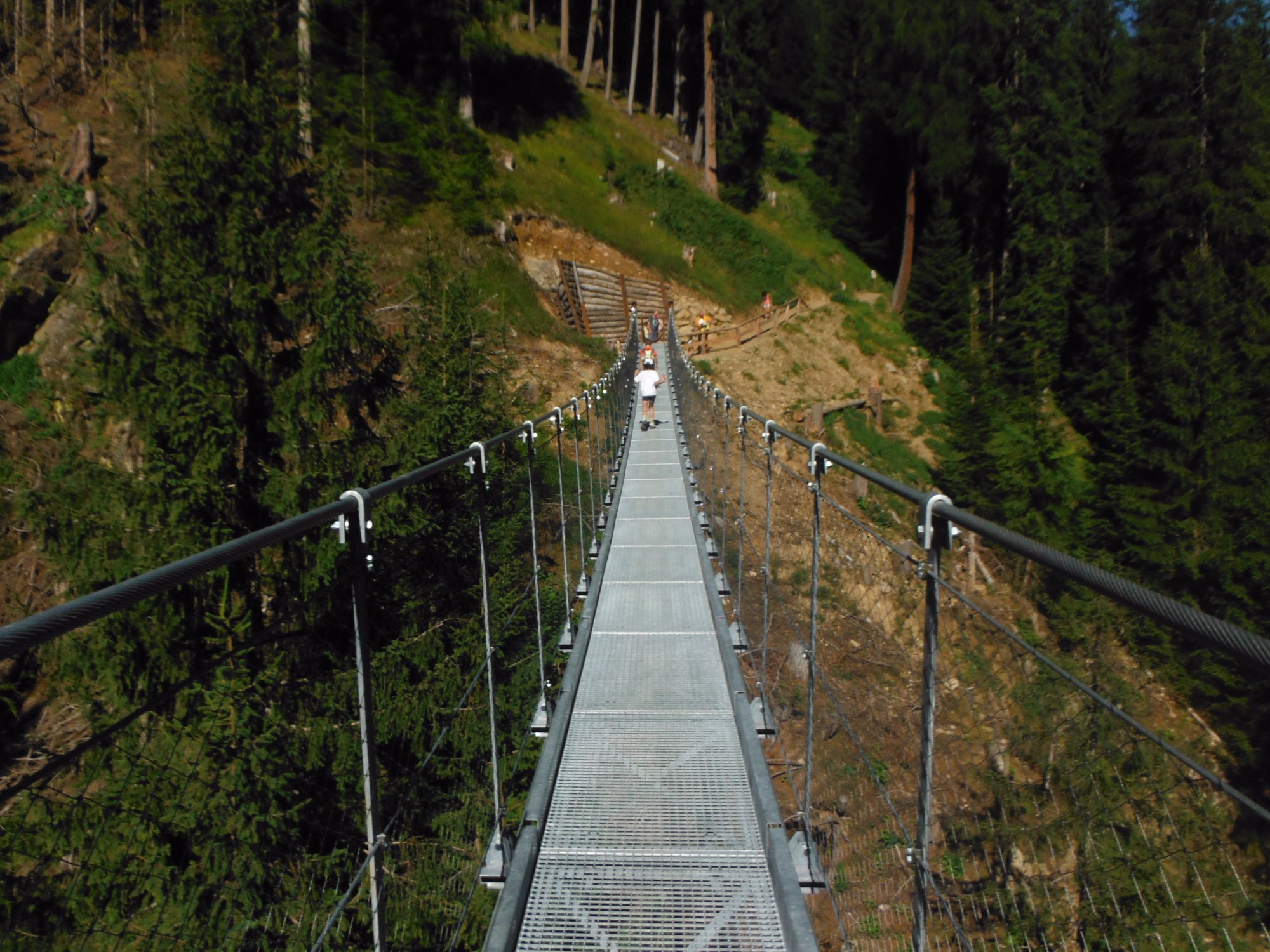 Ponte Tibetano