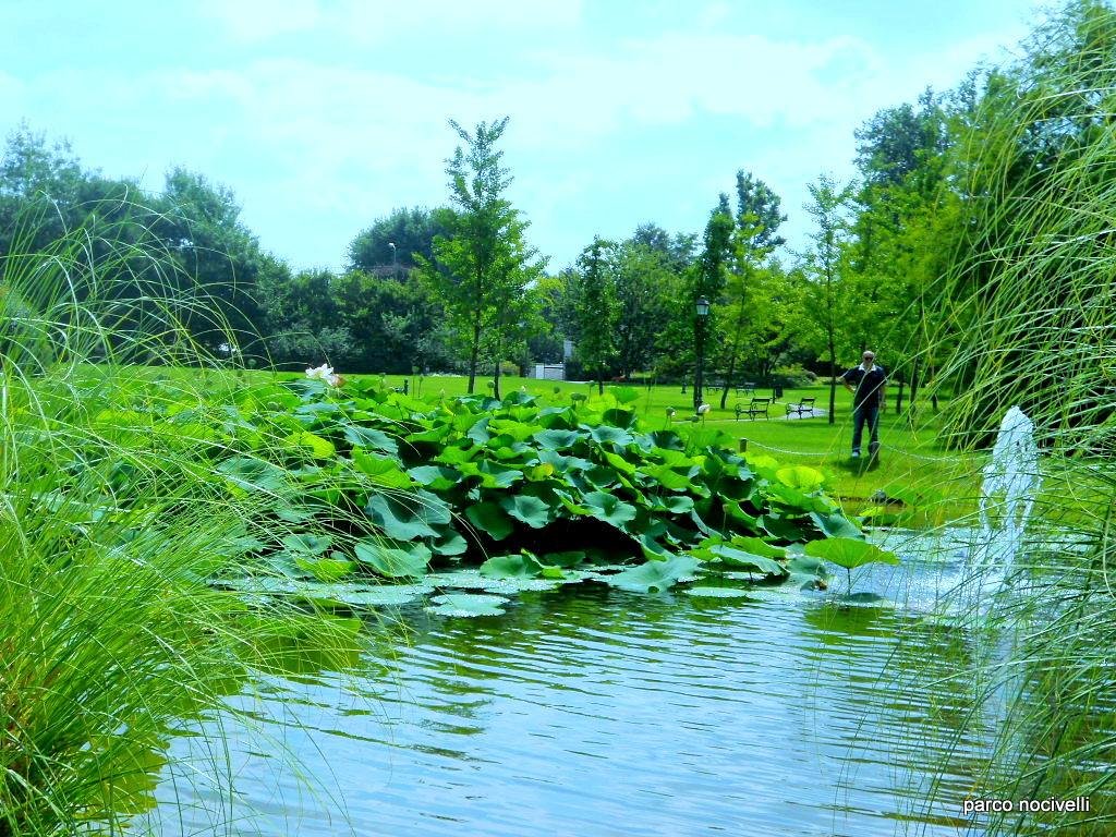 Parco Angelo e Lina Nocivelli