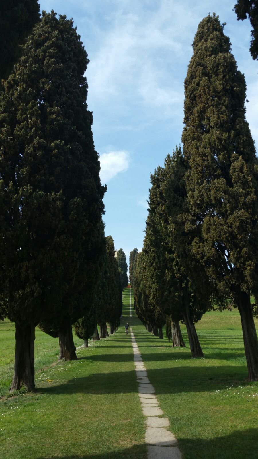 Viale Dei Cipressi