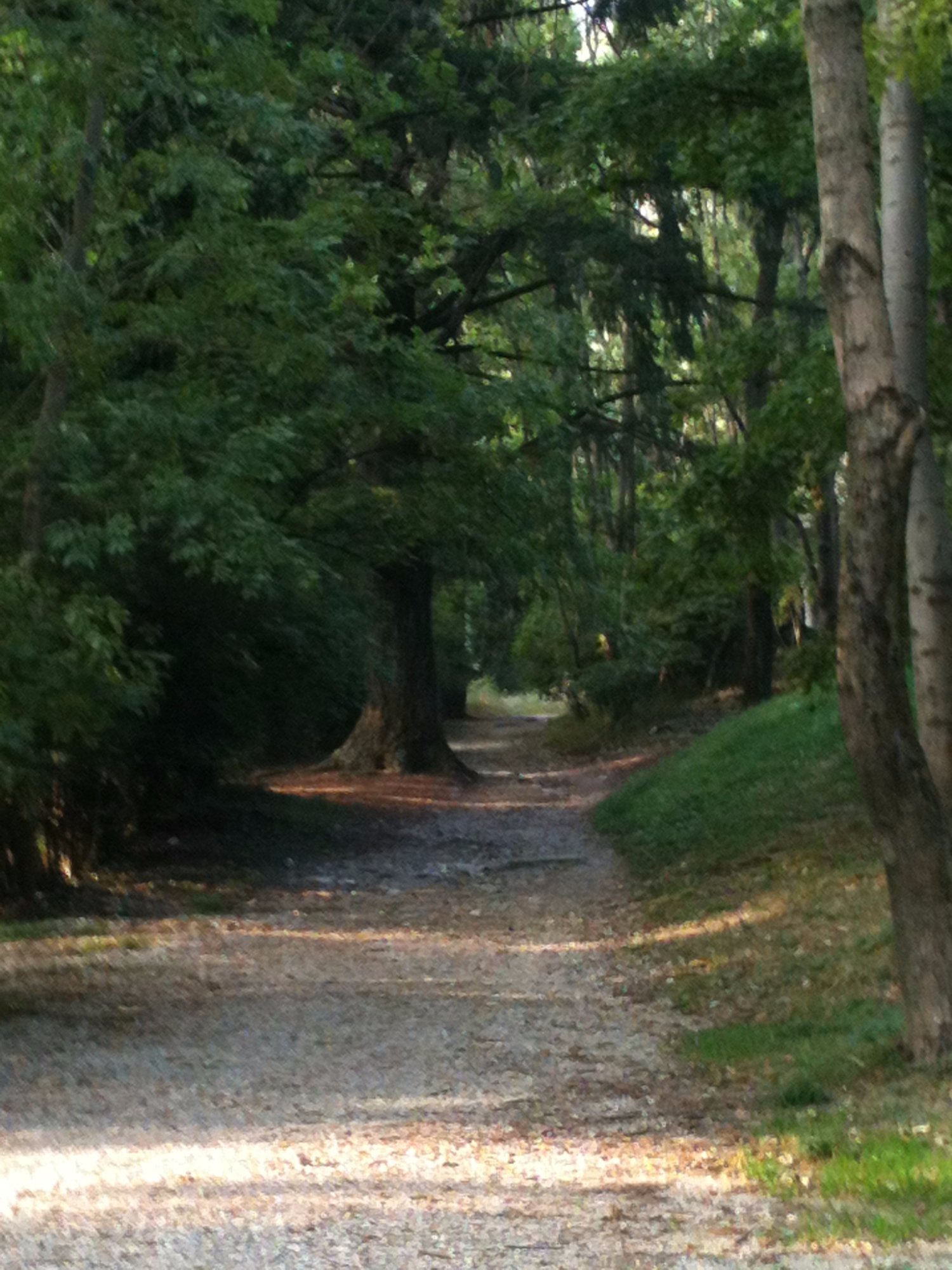 Parco Alpe del Viceré