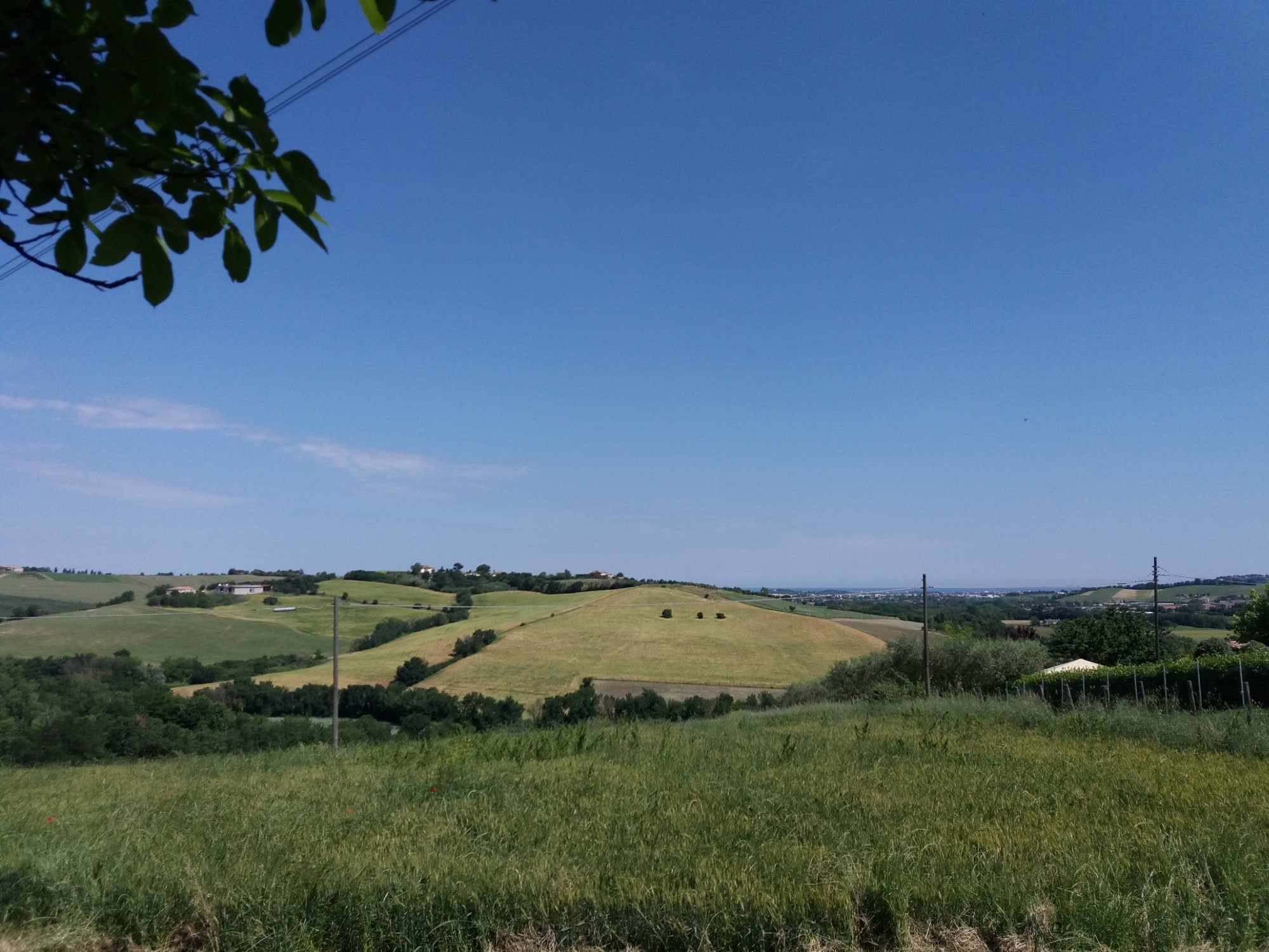 Azienda Agricola Zavoli