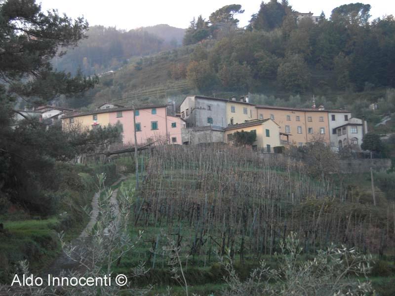 Museo Giacomo Puccini A Celle Dei Puccini