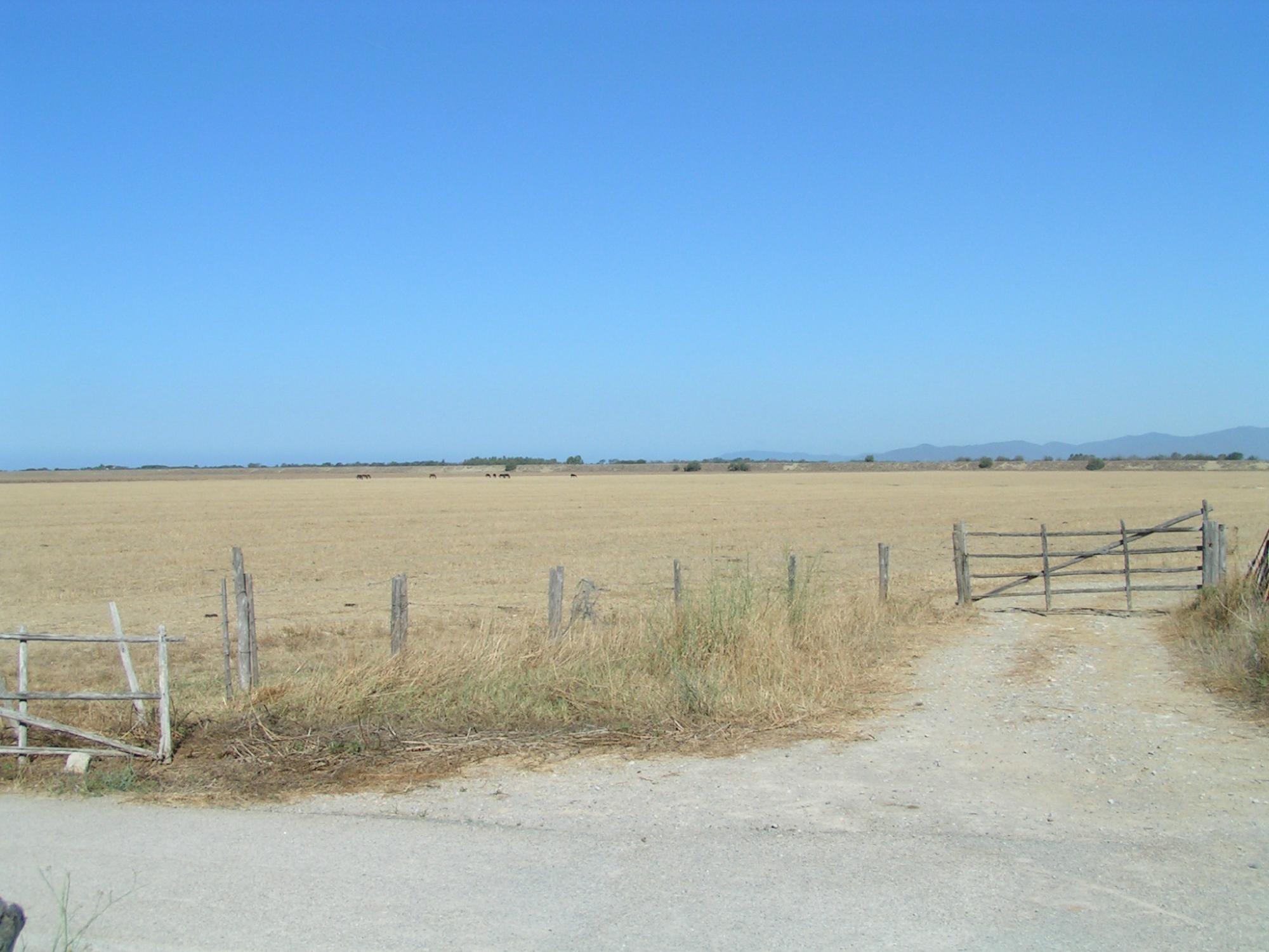 Parco Regionale della Maremma