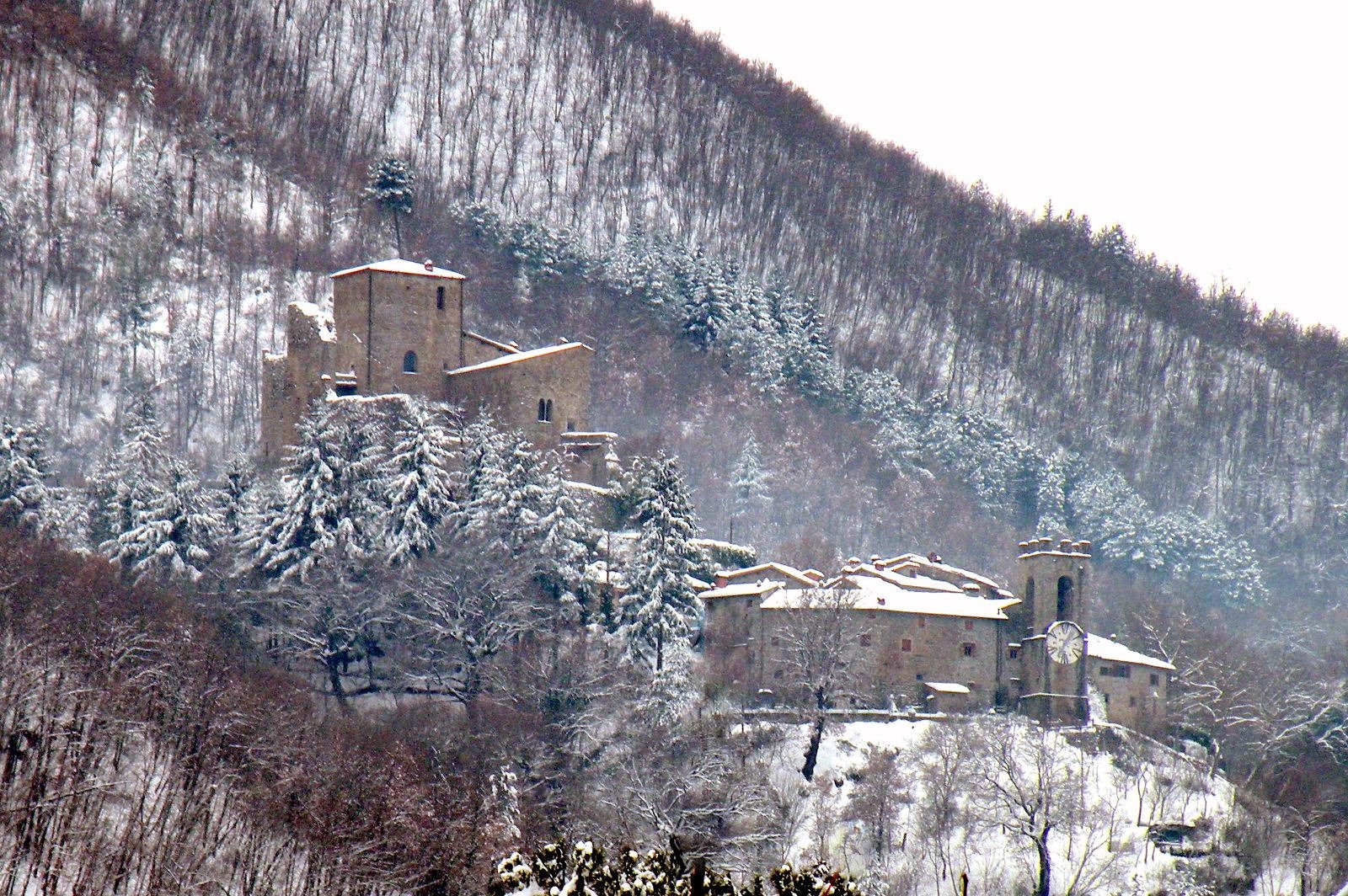 Castello di Castel San Niccolò