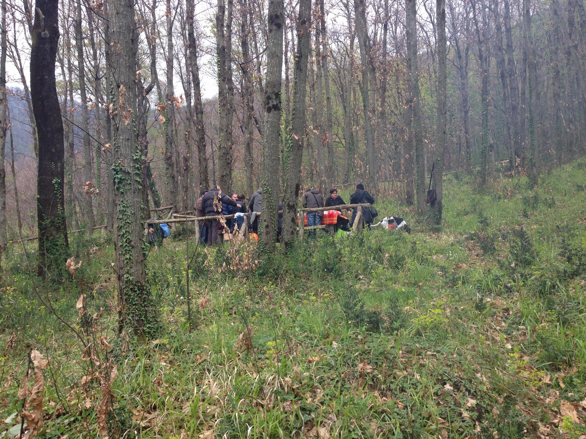 Foresta Regionale di Roccarainola