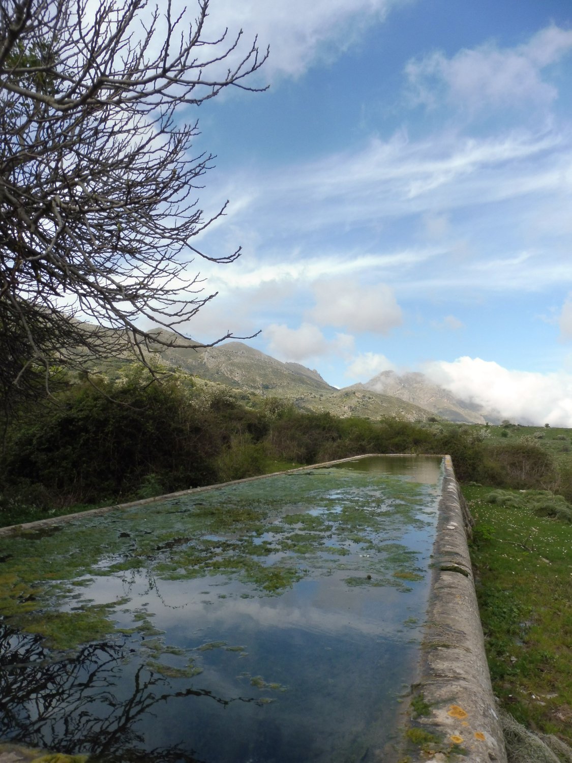 Riserva naturale orientata Pizzo Cane, Pizzo Trigna e Grotta Mazzamuto