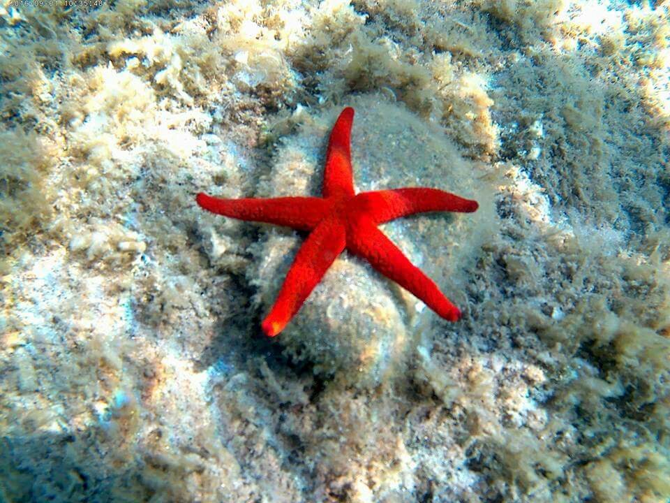 Spiaggia del Dottore