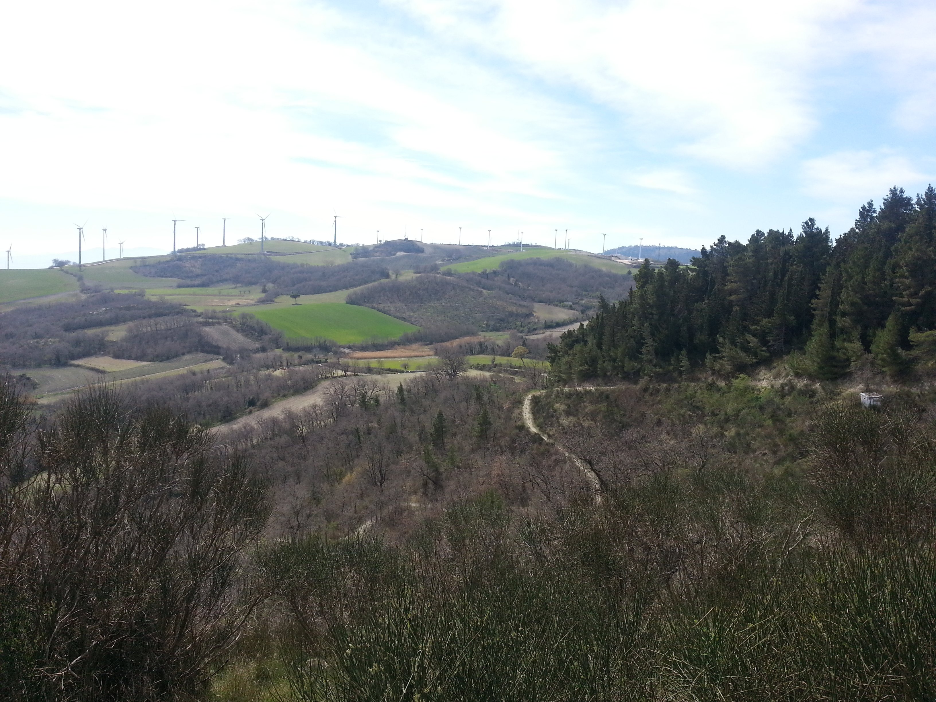 La Cappellina