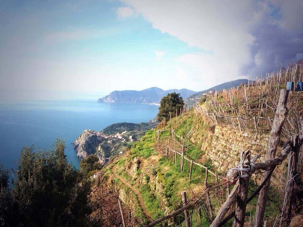 Tour Guide Cinque Terre