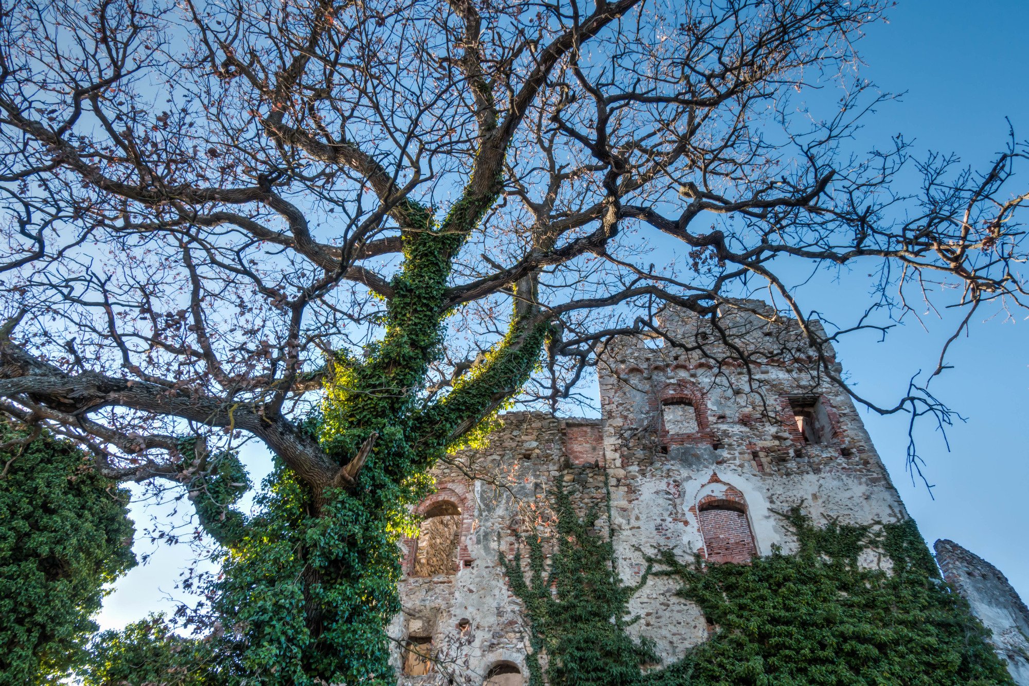 Castello degli Aleramo